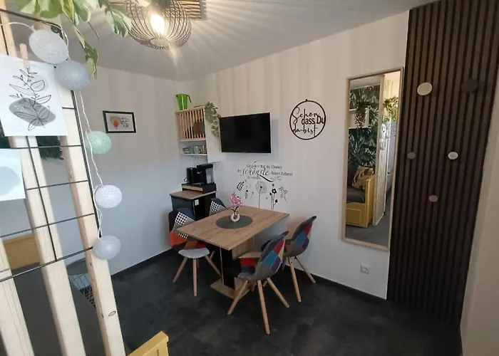 Tiny By Timo's Camp Campsite *