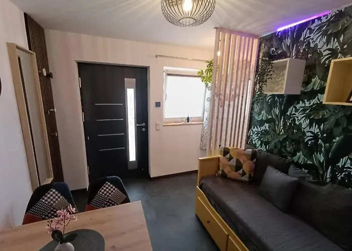 Tiny By Timo's Camp * Nochling